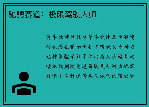 驰骋赛道：极限驾驶大师